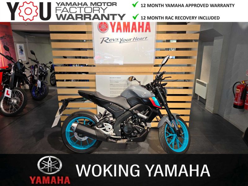 2023 Yamaha MT 125 (MTN 125-A) Grey